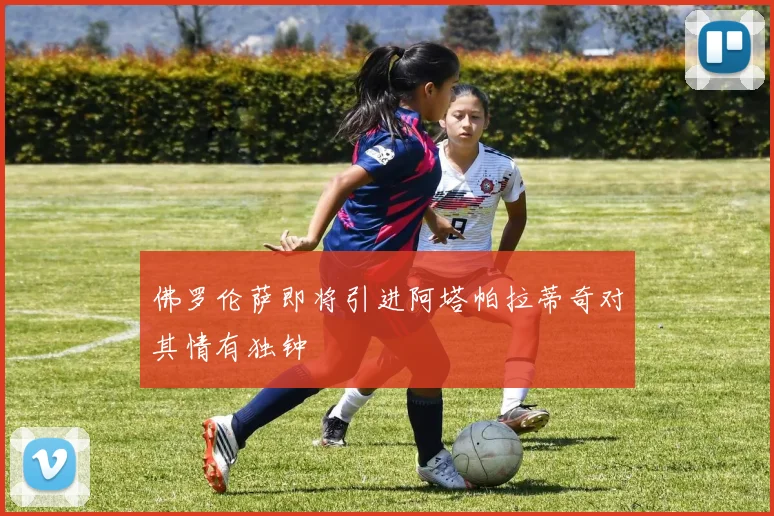 佛罗伦萨即将引进阿塔帕拉蒂奇对其情有独钟